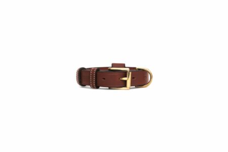 Bromfield Dogcollar