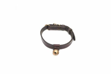 Bromfield Dogcollar