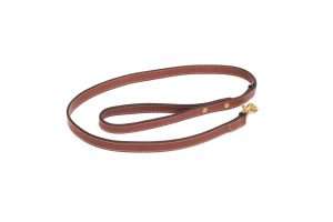 Bromfield Doglead