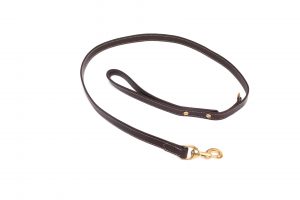 Bromfield Doglead
