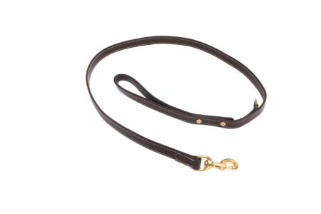 Bromfield Doglead