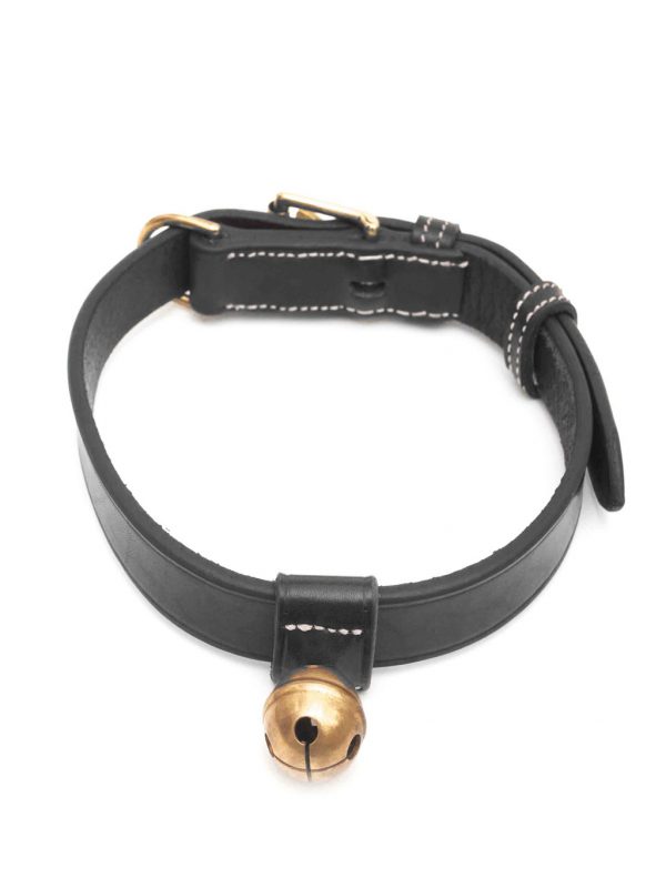 Bromfield Dog Collar