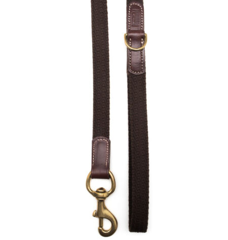 Bromfield Doglead Leather