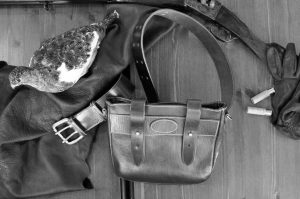 Bromfield Collection